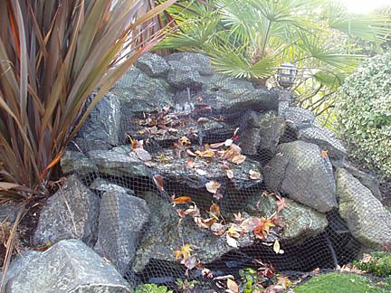 pond cover